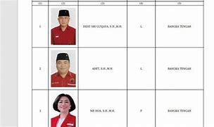 Daftar Caleg Dprd Dki Jakarta 2024 Dapil 9