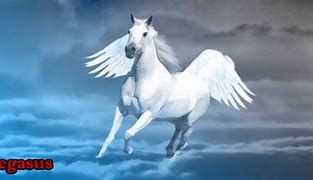 Pegasus Adalah Kuda